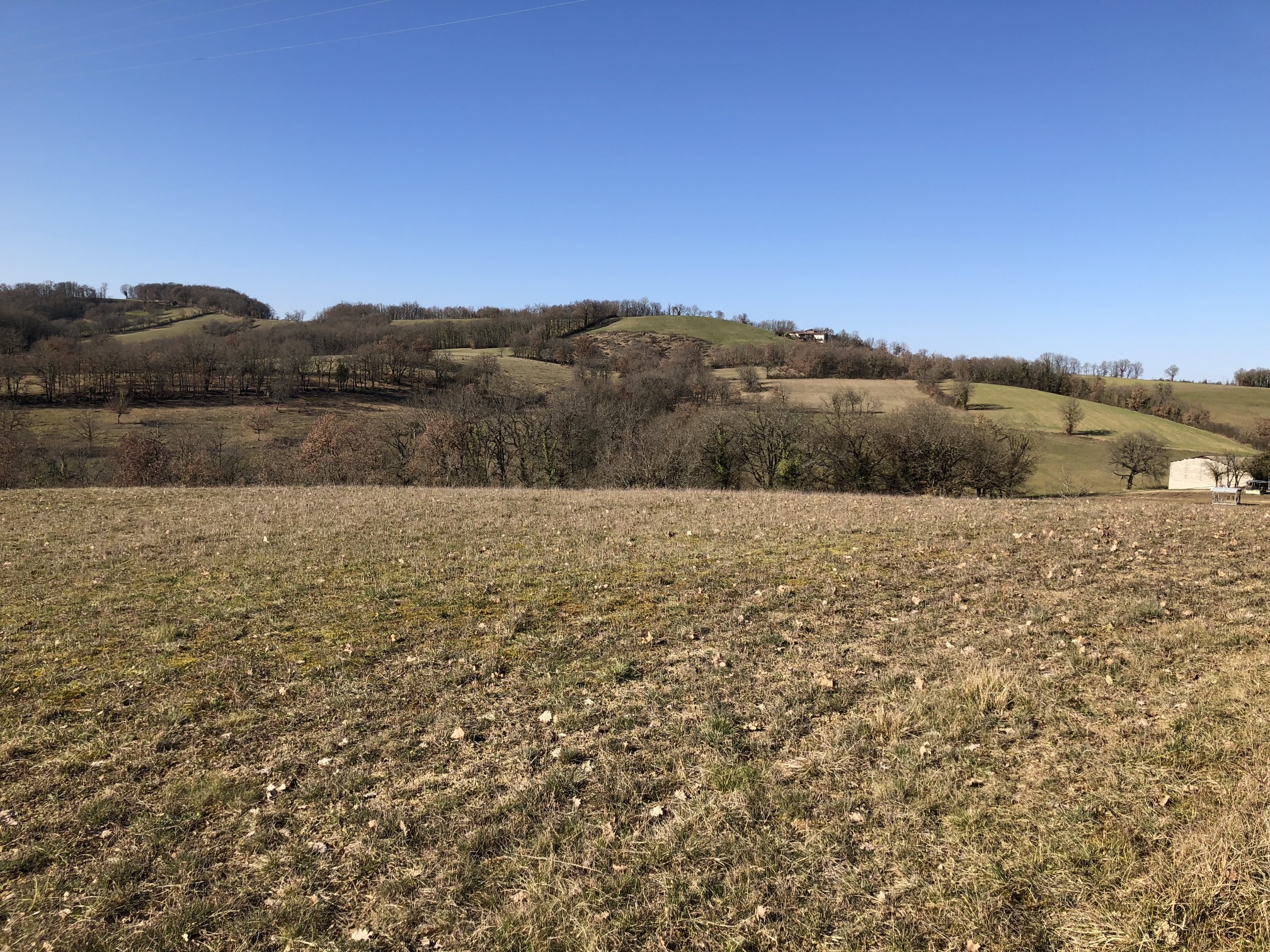 vente Terrain agricole
